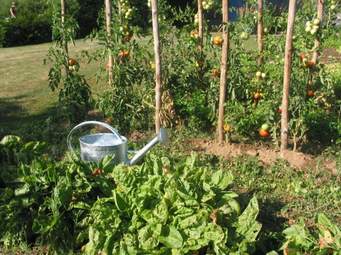 You are currently viewing Fini les produits chimiques dans nos jardins !