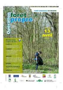 Lire la suite à propos de l’article Forêt propre