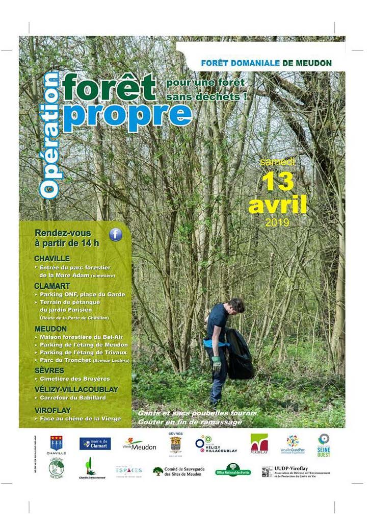 You are currently viewing Forêt propre