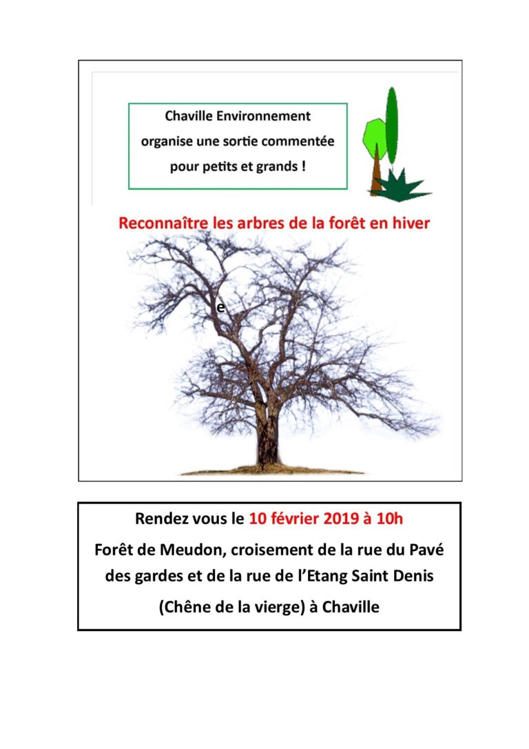 Lire la suite à propos de l’article Arbres en hiver