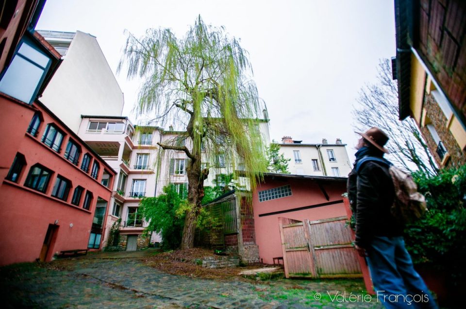 You are currently viewing Les arbres en ville, un enjeu majeur pour le climat : un article du blog de Valérie François