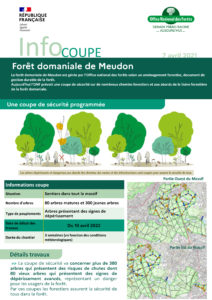 Lire la suite à propos de l’article Info coupe – Forêt domaniale de Meudon