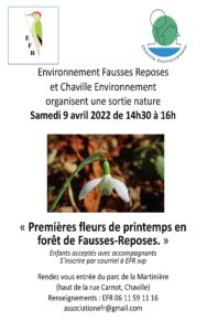 Lire la suite à propos de l’article Premières fleurs de printemps en forêt de Fausses Reposes