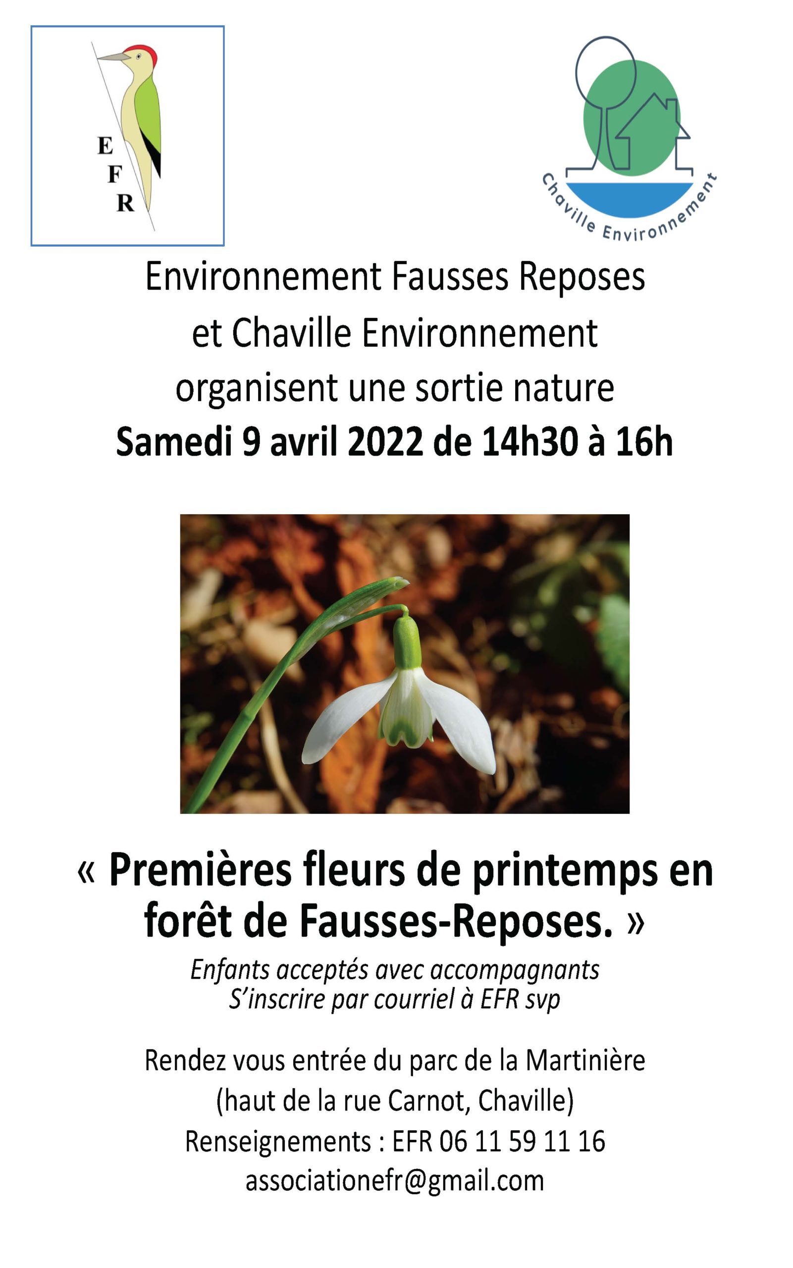 You are currently viewing Premières fleurs de printemps en forêt de Fausses Reposes