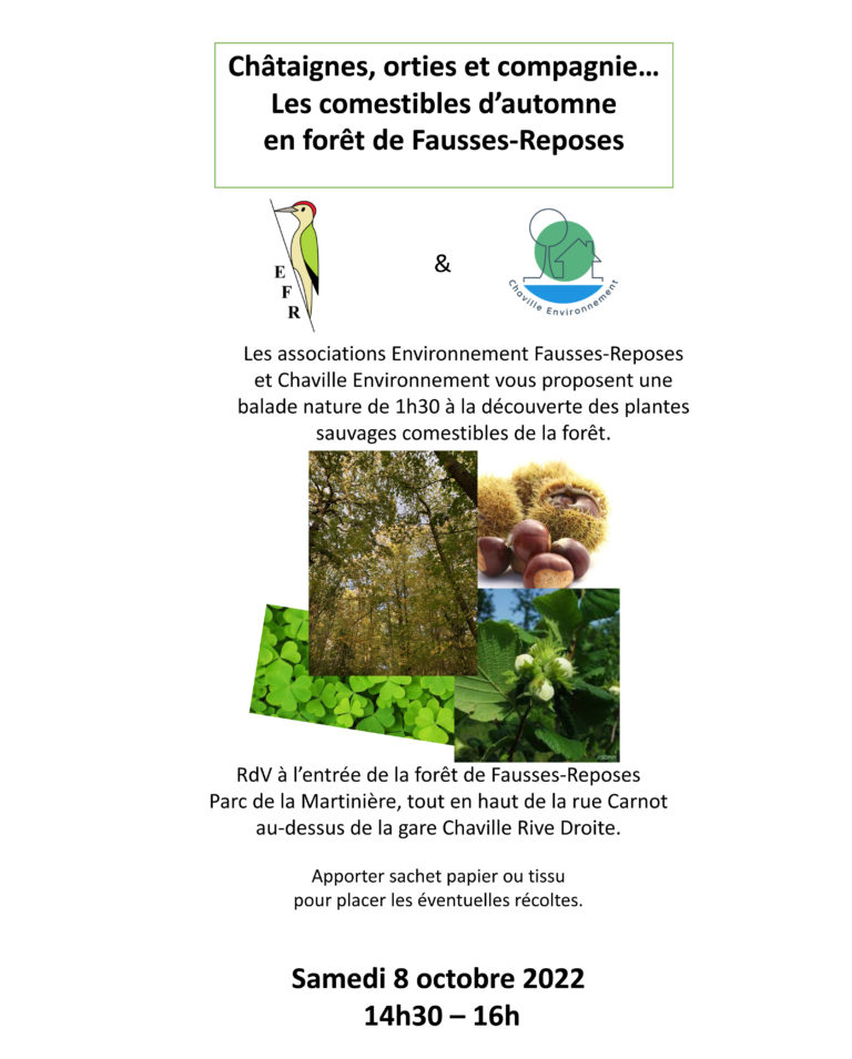 Lire la suite à propos de l’article Balade nature à la découverte des plantes sauvages comestibles de la forêt