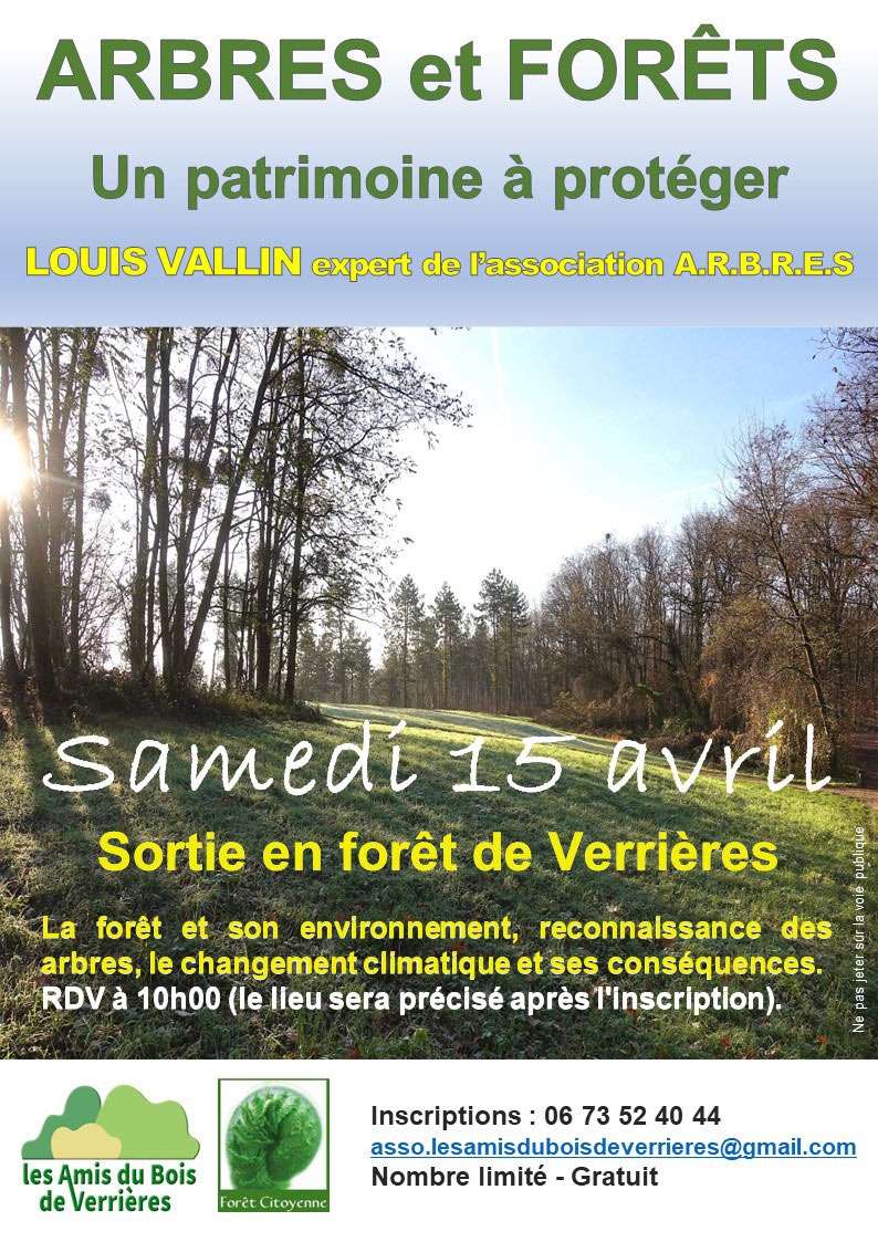You are currently viewing Sortie en forêt de Verrières