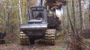 Lire la suite à propos de l’article Pétition : Sauvons la forêt de Meudon