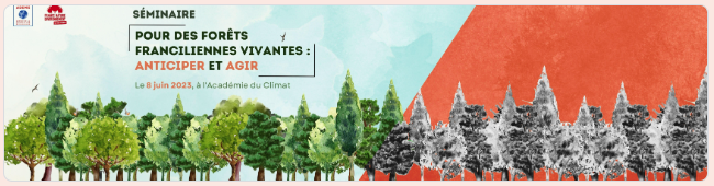 Lire la suite à propos de l’article Séminaire « Pour la survie des forêts Franciliennes : Anticiper et agir »