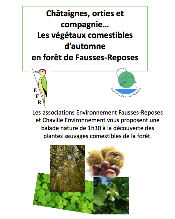 You are currently viewing Samedi 7 OCTOBRE 2023 : Balade Nature, les végétaux comestibles d’automne en forêt de Fausses-Reposes –