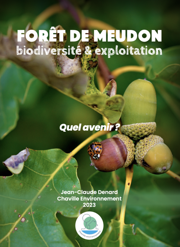 Lire la suite à propos de l’article Forêt de Meudon, biodiversité & exploitation, quel avenir ?