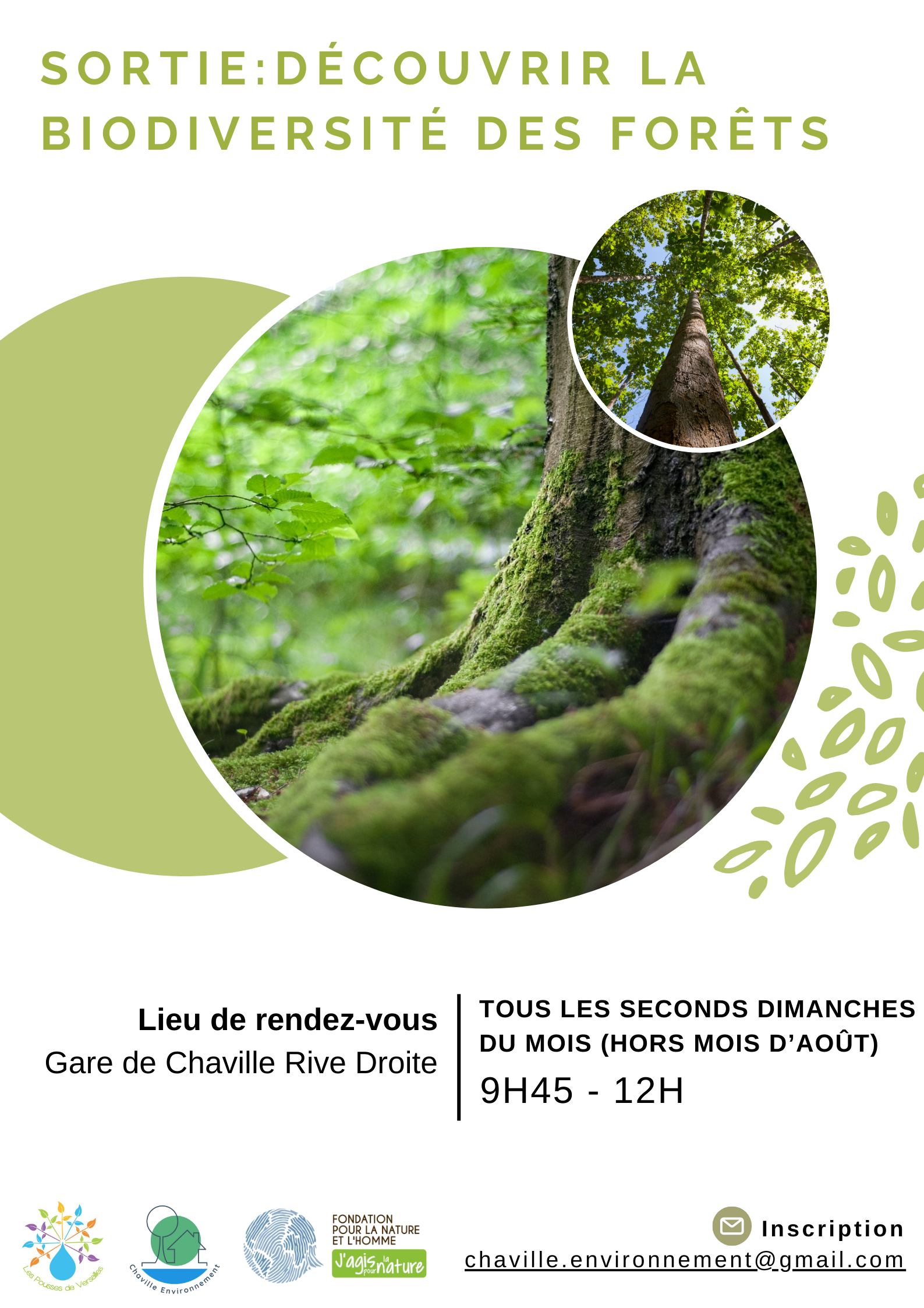 Biodiversité des forêts