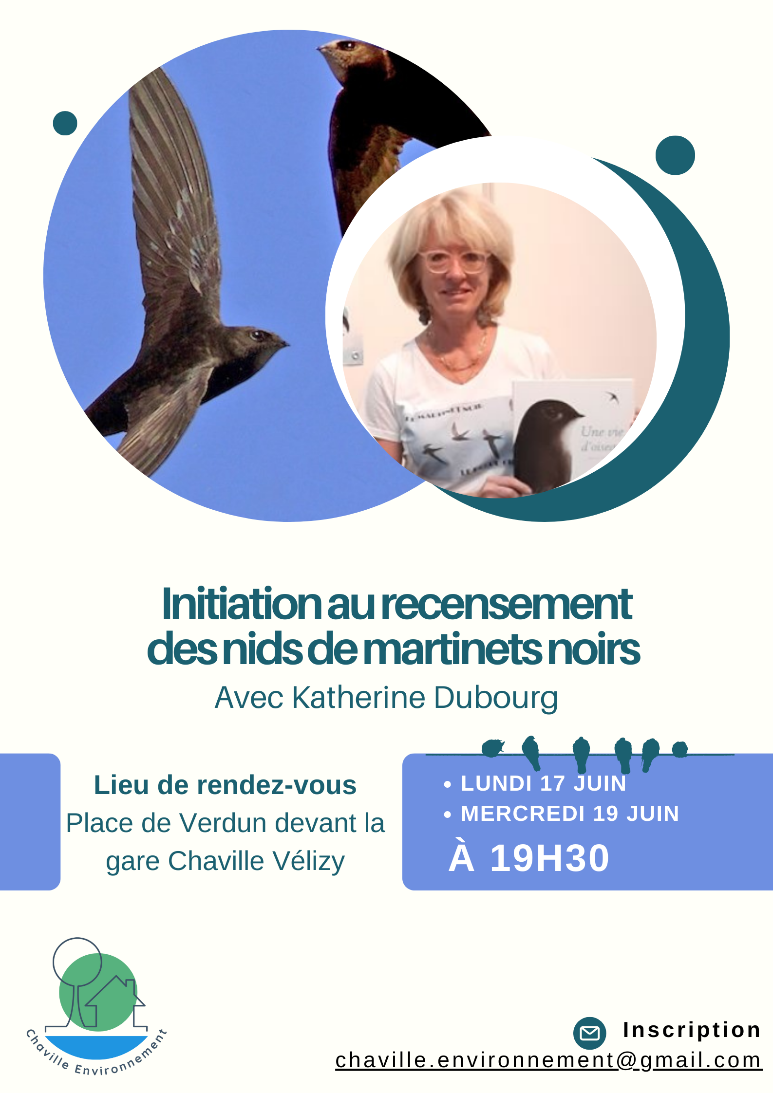 Martinets noirs